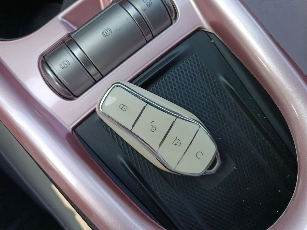 2024 BYD Dolphin BEV 44.928KWH,autocango,china used car exporter,china ev exporter,chinese used car exporter,chinese used ev exporter