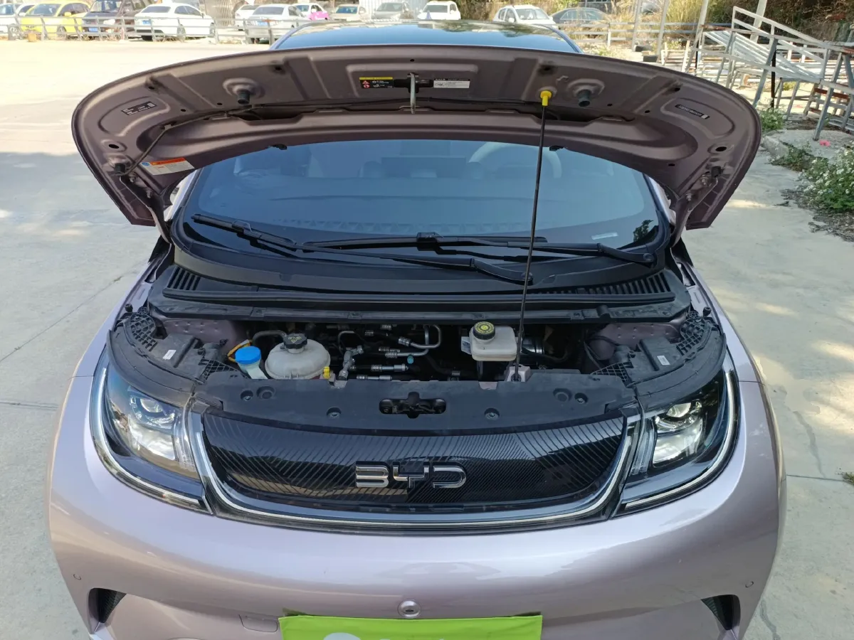 2024 BYD Dolphin BEV 44.928KWH,autocango,china used car exporter,china ev exporter,chinese used car exporter,chinese used ev exporter