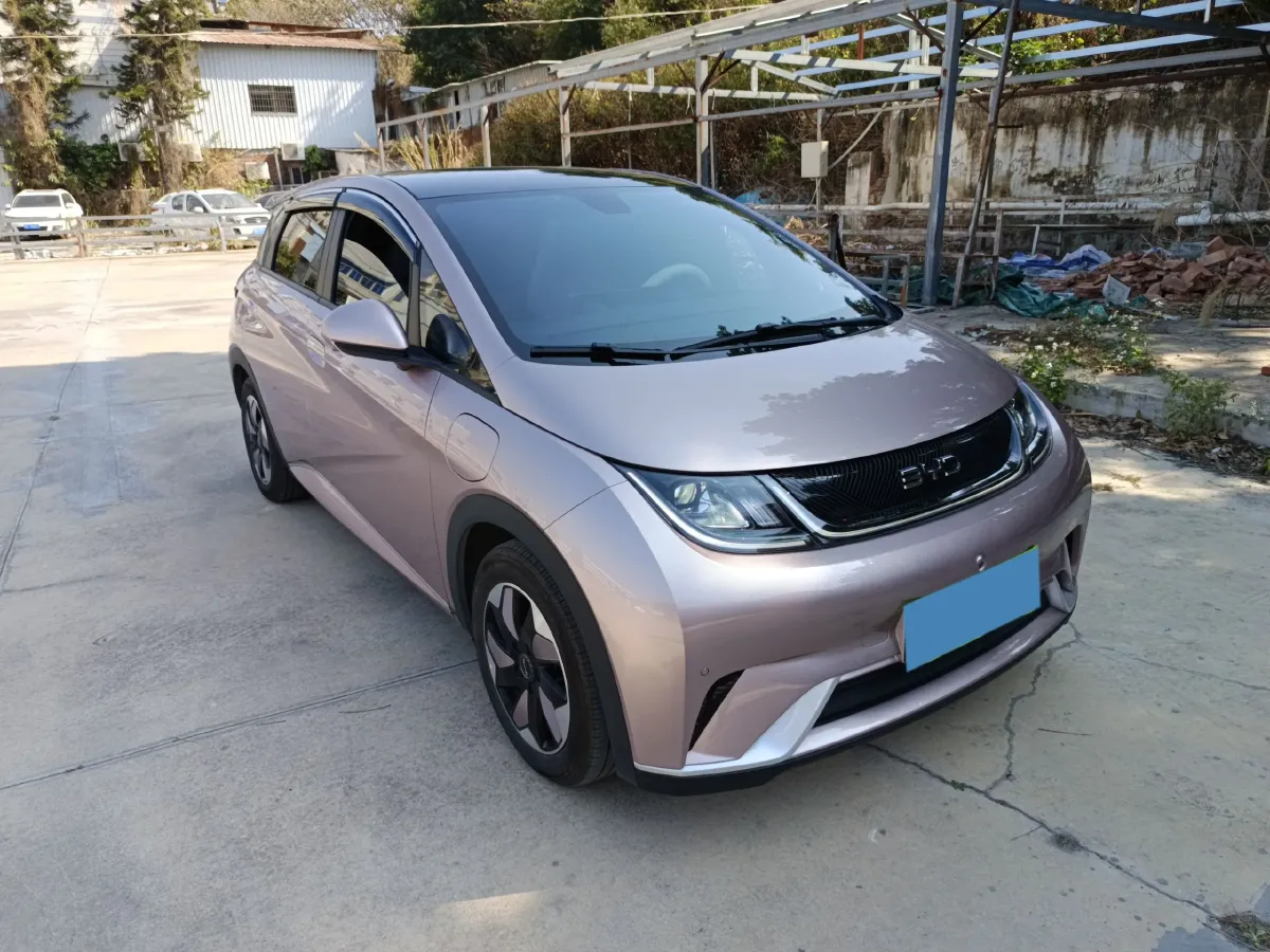 2024 BYD Dolphin BEV 44.928KWH,autocango,china used car exporter,china ev exporter,chinese used car exporter,chinese used ev exporter