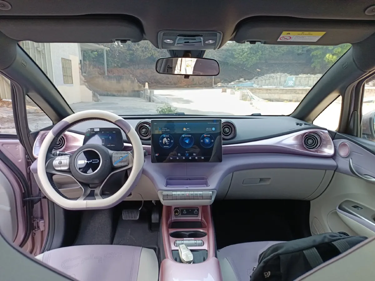 2024 BYD Dolphin BEV 44.928KWH,autocango,china used car exporter,china ev exporter,chinese used car exporter,chinese used ev exporter