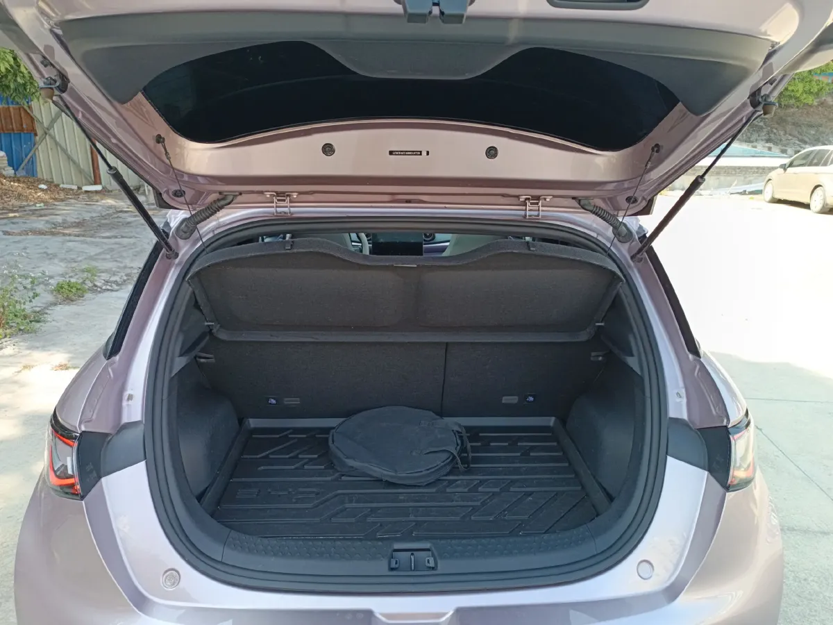 2024 BYD Dolphin BEV 44.928KWH,autocango,china used car exporter,china ev exporter,chinese used car exporter,chinese used ev exporter