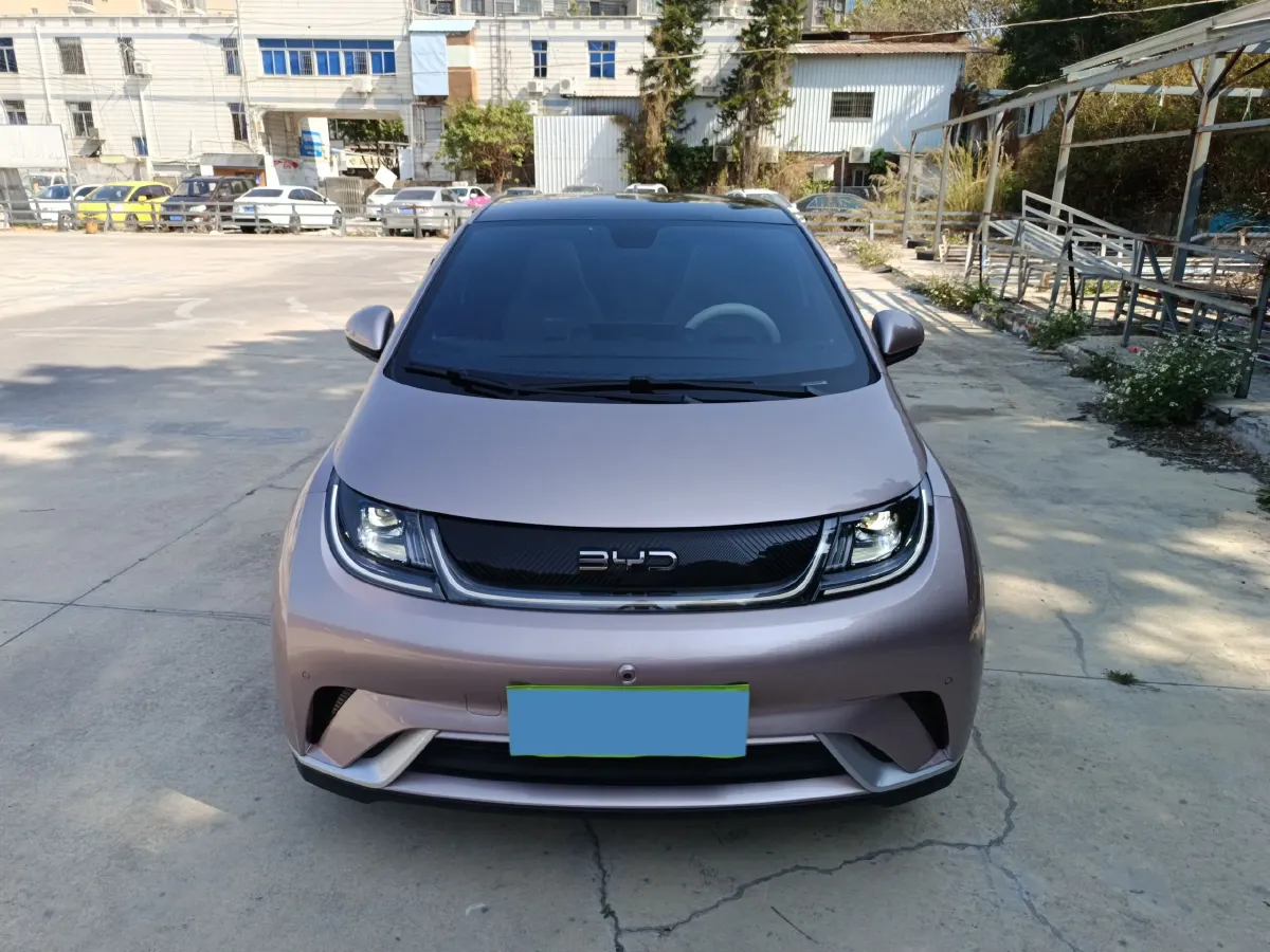 2024 BYD Dolphin BEV 44.928KWH,autocango,china used car exporter,china ev exporter,chinese used car exporter,chinese used ev exporter