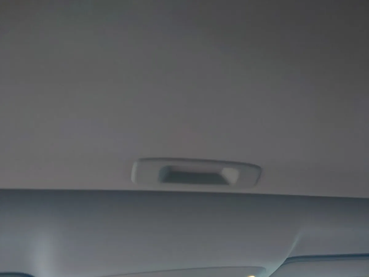 2021 Kia Carnival 2.0T 233HP L4 8AT,autocango,china used car exporter,china ev exporter,chinese used car exporter,chinese used ev exporter