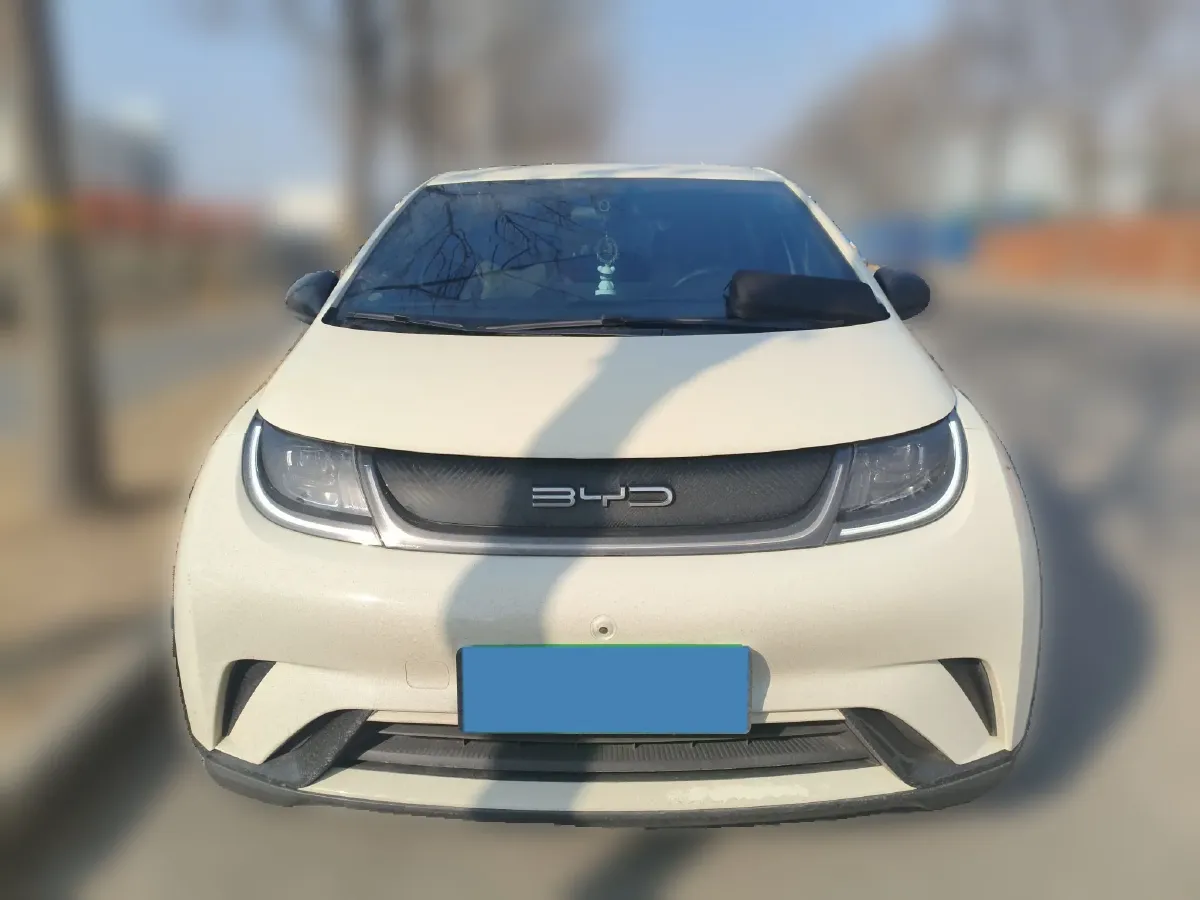 2023 BYD Dolphin BEV 44.928KWH,autocango,china used car exporter,china ev exporter,chinese used car exporter,chinese used ev exporter