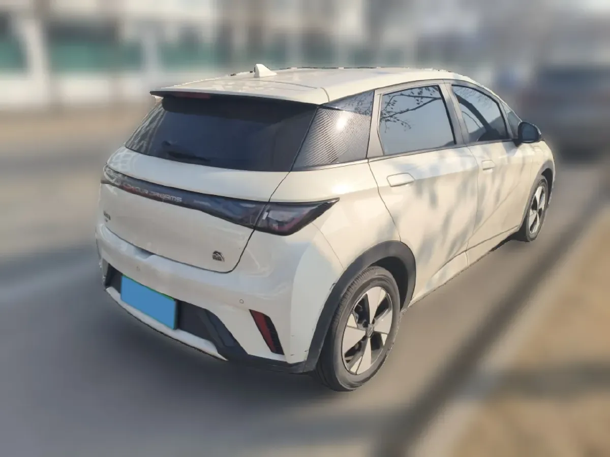 2023 BYD Dolphin BEV 44.928KWH,autocango,china used car exporter,china ev exporter,chinese used car exporter,chinese used ev exporter