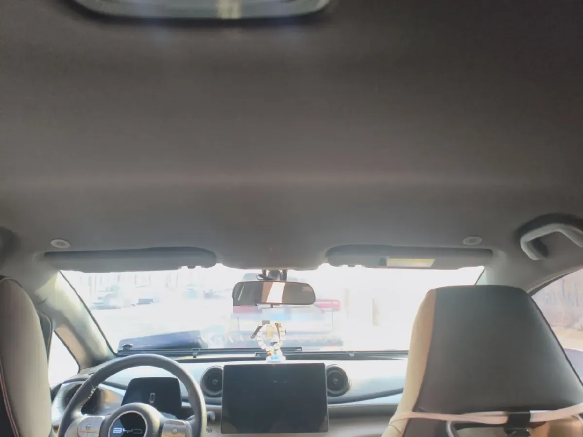 2023 BYD Dolphin BEV 44.928KWH,autocango,china used car exporter,china ev exporter,chinese used car exporter,chinese used ev exporter