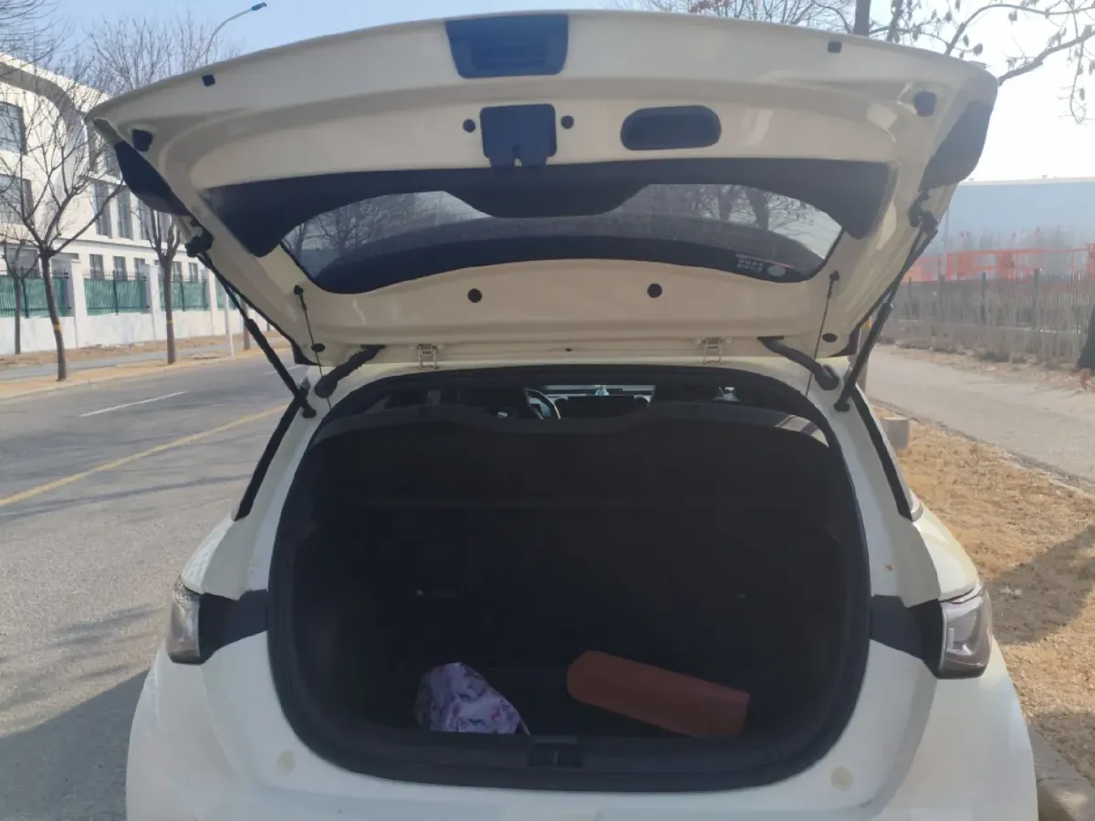 2023 BYD Dolphin BEV 44.928KWH,autocango,china used car exporter,china ev exporter,chinese used car exporter,chinese used ev exporter