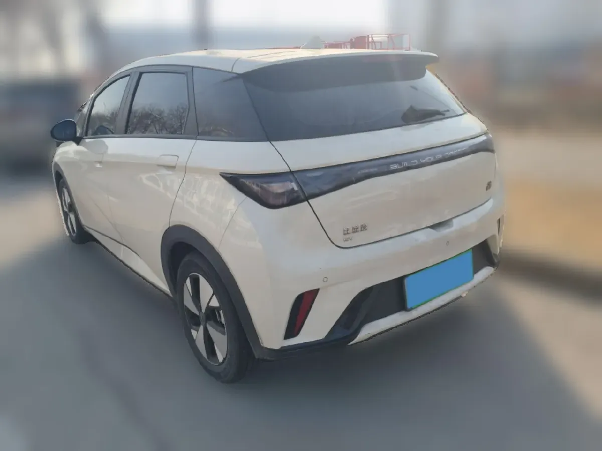 2023 BYD Dolphin BEV 44.928KWH,autocango,china used car exporter,china ev exporter,chinese used car exporter,chinese used ev exporter