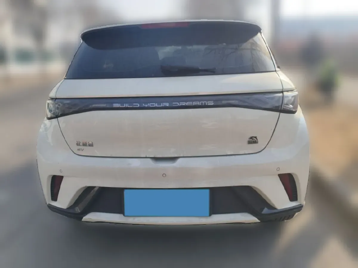 2023 BYD Dolphin BEV 44.928KWH,autocango,china used car exporter,china ev exporter,chinese used car exporter,chinese used ev exporter