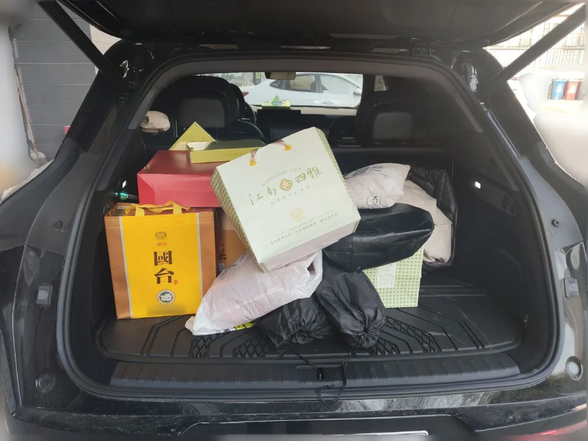 2025 Zeekr 7X BEV 100KWH,autocango,china used car exporter,china ev exporter,chinese used car exporter,chinese used ev exporter