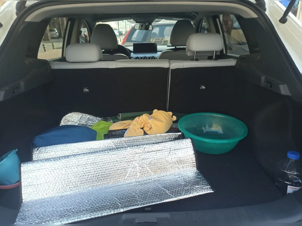 2025 BYD Sea Lion 06 1.5L 101HP L4 E-CVT PHEV,autocango,china used car exporter,china ev exporter,chinese used car exporter,chinese used ev exporter