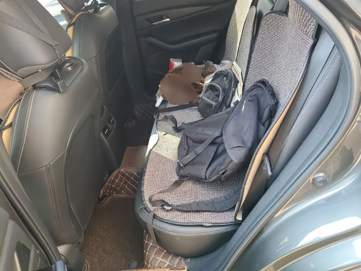 2020 Ford Transit 2.0T 202HP L4 6AT,autocango,china used car exporter,china ev exporter,chinese used car exporter,chinese used ev exporter