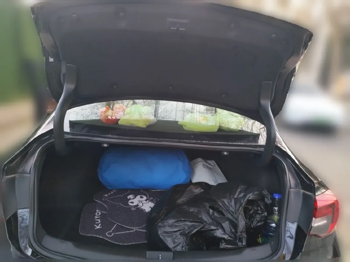 2019 Ford Transit 2.0T 202HP L4 6AT,autocango,china used car exporter,china ev exporter,chinese used car exporter,chinese used ev exporter