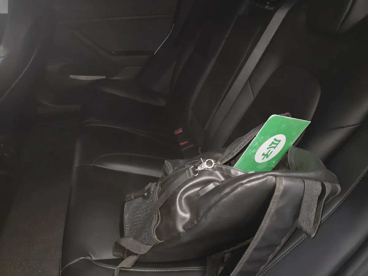 2019 Tesla Model 3 BEV 52KWH,autocango,china used car exporter,china ev exporter,chinese used car exporter,chinese used ev exporter