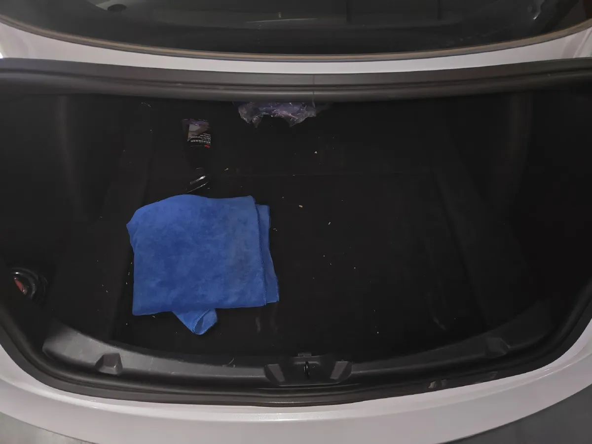 2019 Tesla Model 3 BEV 52KWH,autocango,china used car exporter,china ev exporter,chinese used car exporter,chinese used ev exporter