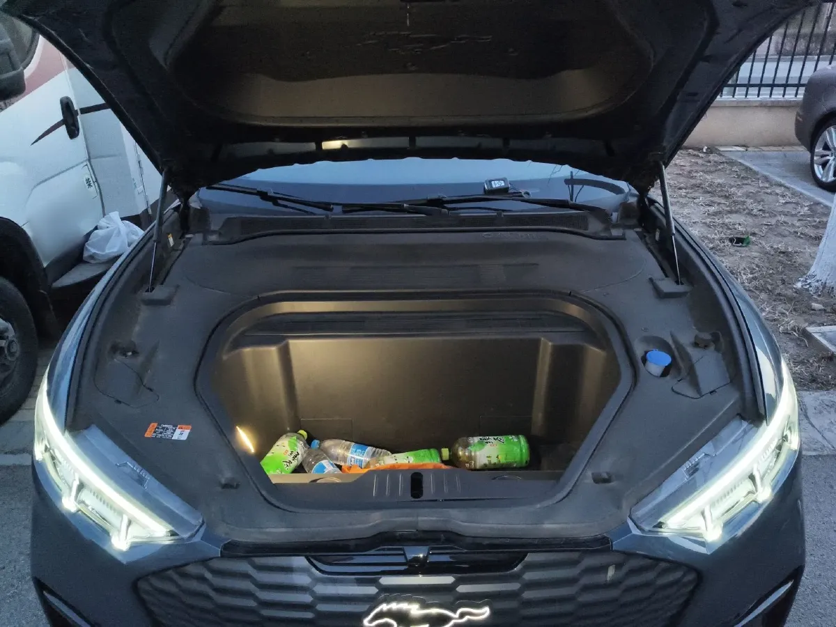 2021 Ford Mustang Mach-E BEV 80.3KWH,autocango,china used car exporter,china ev exporter,chinese used car exporter,chinese used ev exporter