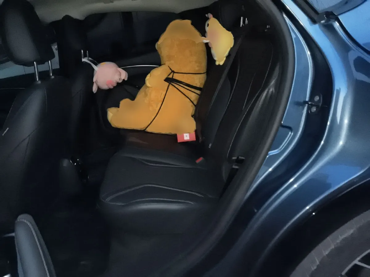 2021 Ford Mustang Mach-E BEV 80.3KWH,autocango,china used car exporter,china ev exporter,chinese used car exporter,chinese used ev exporter