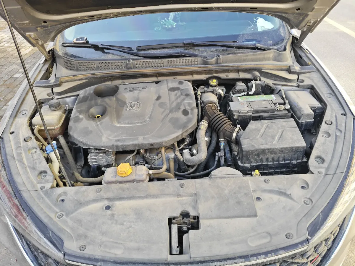 2020 ChangAn Eado 1.4T 158HP L4 7DCT,autocango,china used car exporter,china ev exporter,chinese used car exporter,chinese used ev exporter