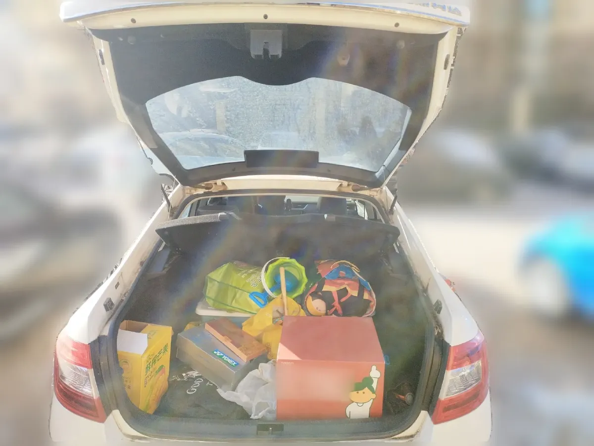 2016 Skoda Octavia 1.6L 110HP L4 5MT,autocango,china used car exporter,china ev exporter,chinese used car exporter,chinese used ev exporter