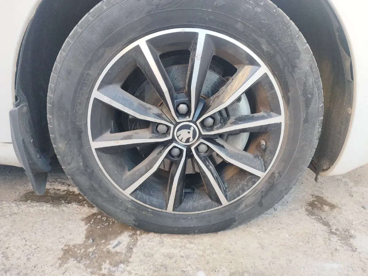 2016 Skoda Octavia 1.6L 110HP L4 5MT,autocango,china used car exporter,china ev exporter,chinese used car exporter,chinese used ev exporter