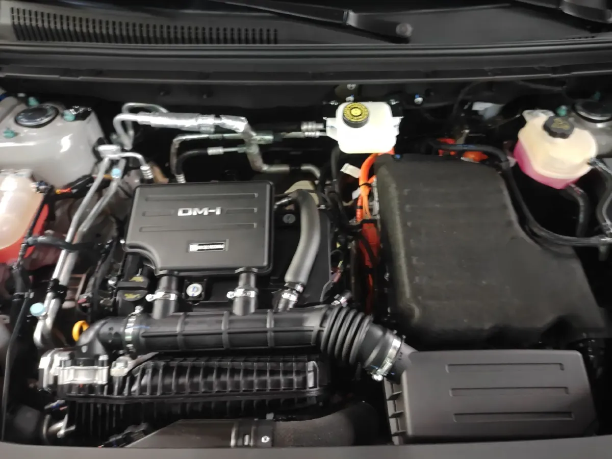 2025 BYD Sea Lion 05 DM-i 1.5L 101HP L4 E-CVT PHEV 18.3KWH,autocango,china used car exporter,china ev exporter,chinese used car exporter,chinese used ev exporter