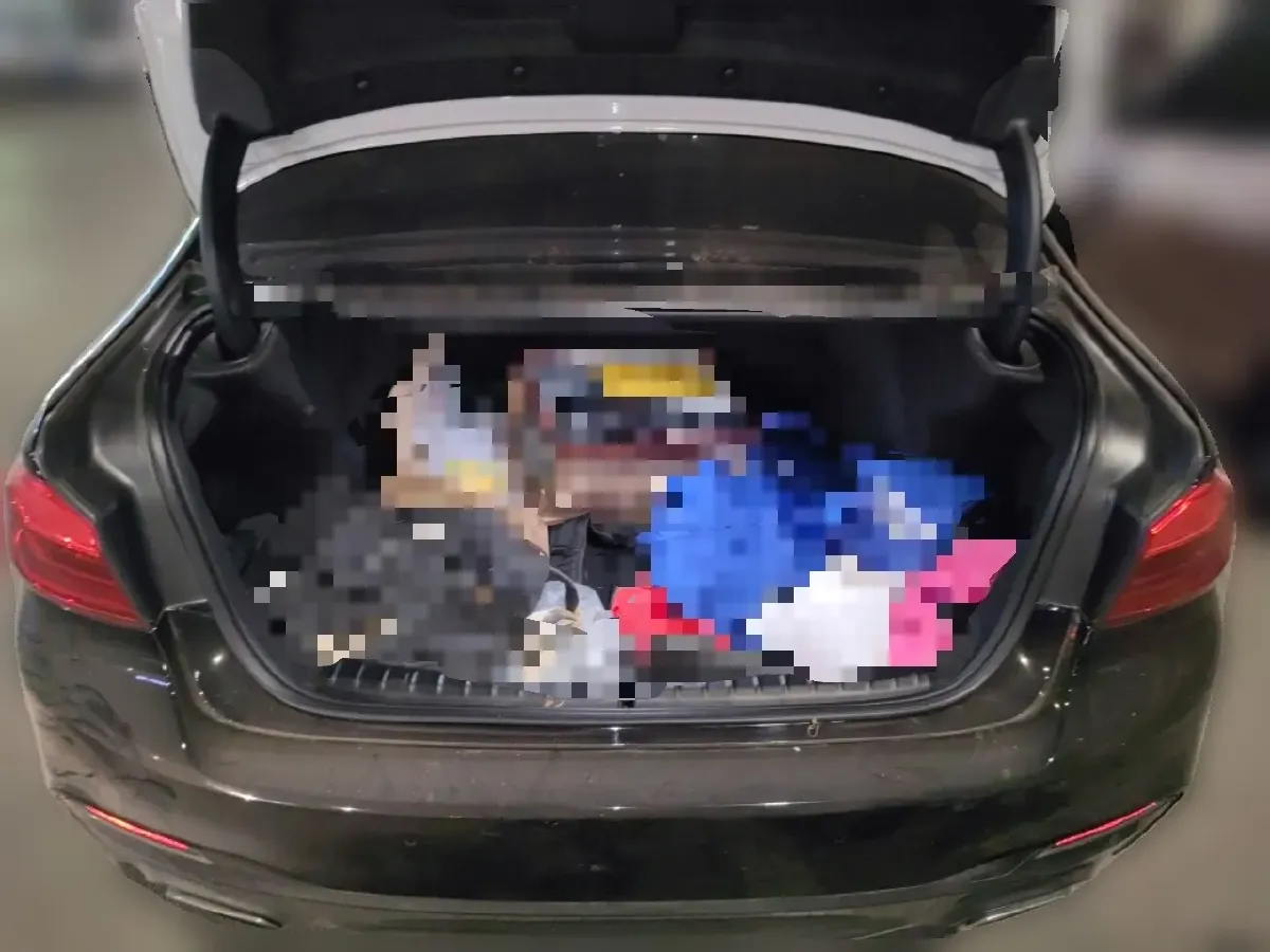 2020 BMW 5 Series 2.0T 252HP L4 8AT,autocango,china used car exporter,china ev exporter,chinese used car exporter,chinese used ev exporter