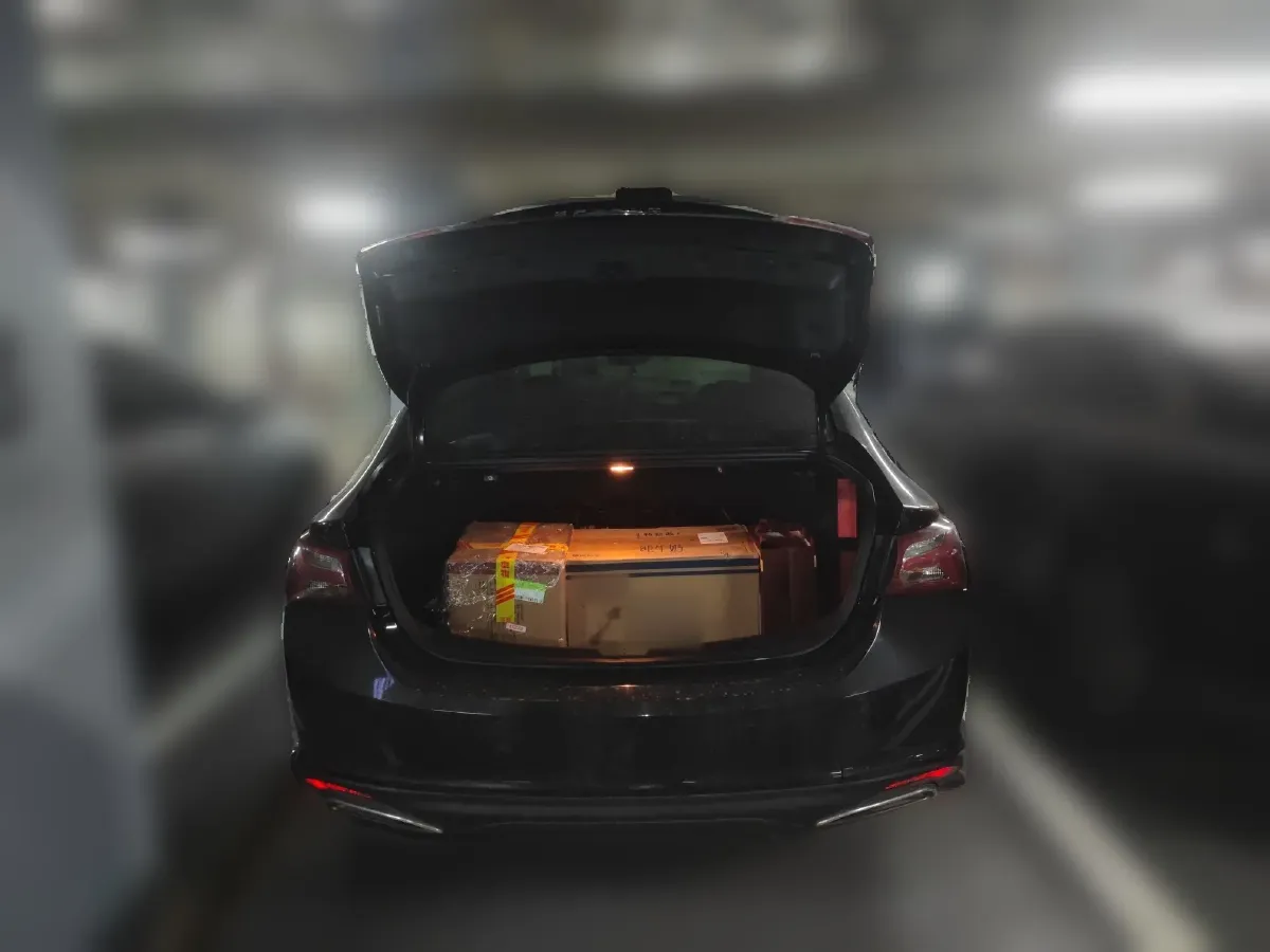 2019 Ford Territory EV BEV 49.14KWH,autocango,china used car exporter,china ev exporter,chinese used car exporter,chinese used ev exporter