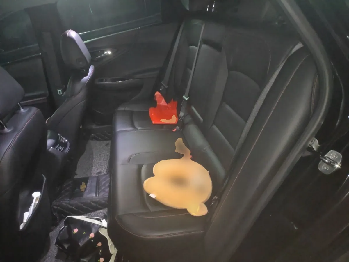 2019 Ford Territory EV BEV 49.14KWH,autocango,china used car exporter,china ev exporter,chinese used car exporter,chinese used ev exporter