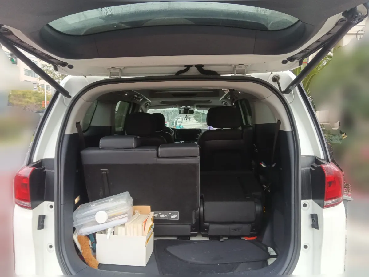 2021 GAC Trumpchi M8 2.0T 252HP L4 8AT,autocango,china used car exporter,china ev exporter,chinese used car exporter,chinese used ev exporter