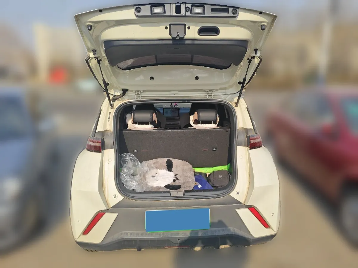 2023 BYD Seagull BEV 30.08KWH,autocango,china used car exporter,china ev exporter,chinese used car exporter,chinese used ev exporter