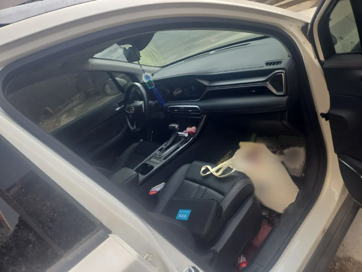 2020 GAC Trumpchi GS4 1.5T 169HP L4 6AT,autocango,china used car exporter,china ev exporter,chinese used car exporter,chinese used ev exporter