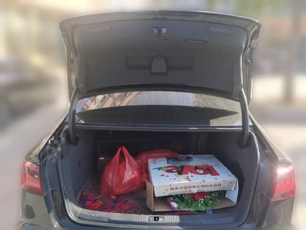 2018 Audi A6L 2.0T 211HP L4 8AT PHEV 14.1KWH,autocango,china used car exporter,china ev exporter,chinese used car exporter,chinese used ev exporter