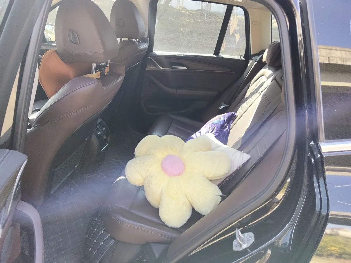 2020 BMW X3 2.0T 224HP L4 8AT,autocango,china used car exporter,china ev exporter,chinese used car exporter,chinese used ev exporter