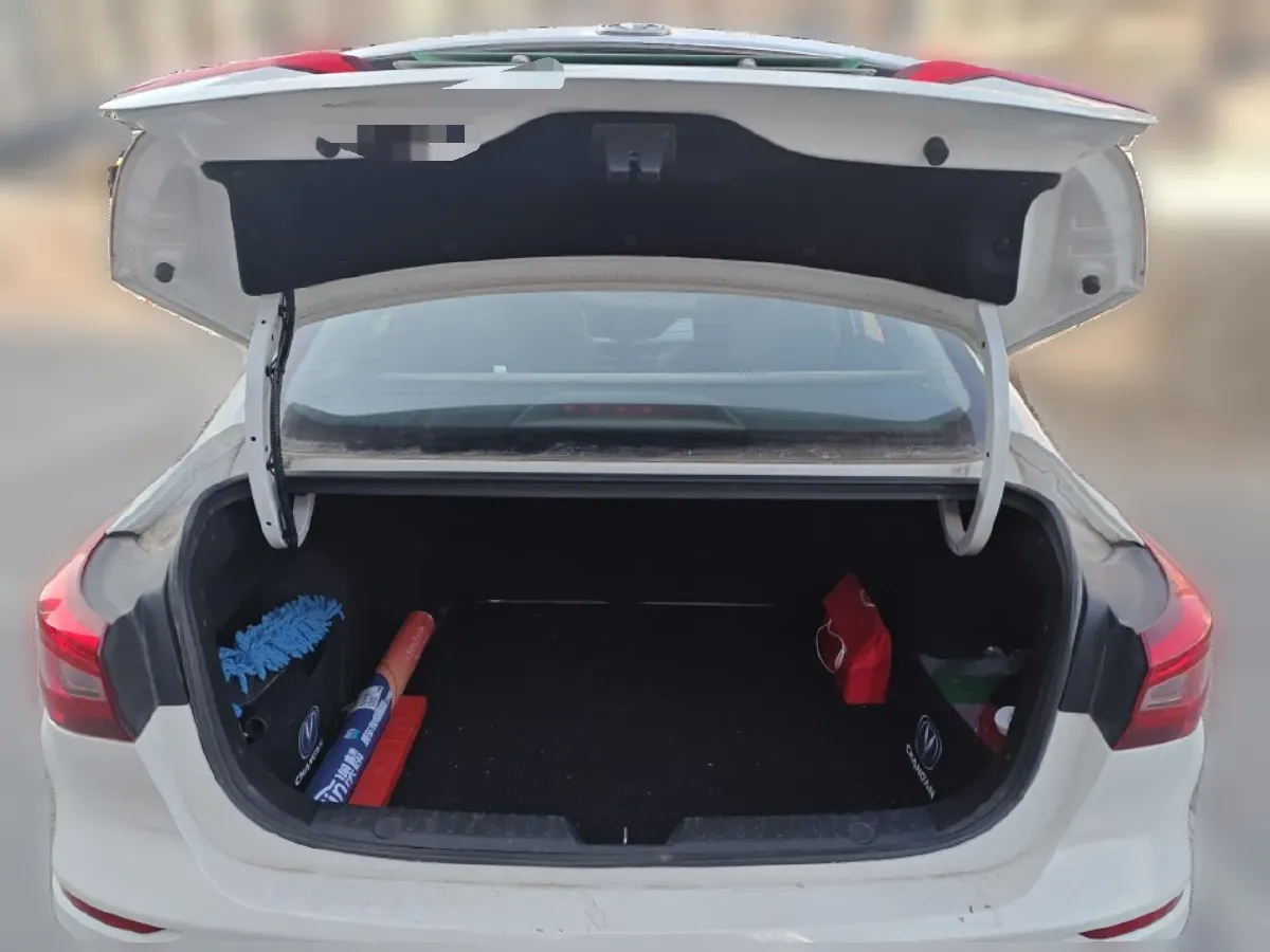 2019 ChangAn Eado BEV 52.56KWH,autocango,china used car exporter,china ev exporter,chinese used car exporter,chinese used ev exporter