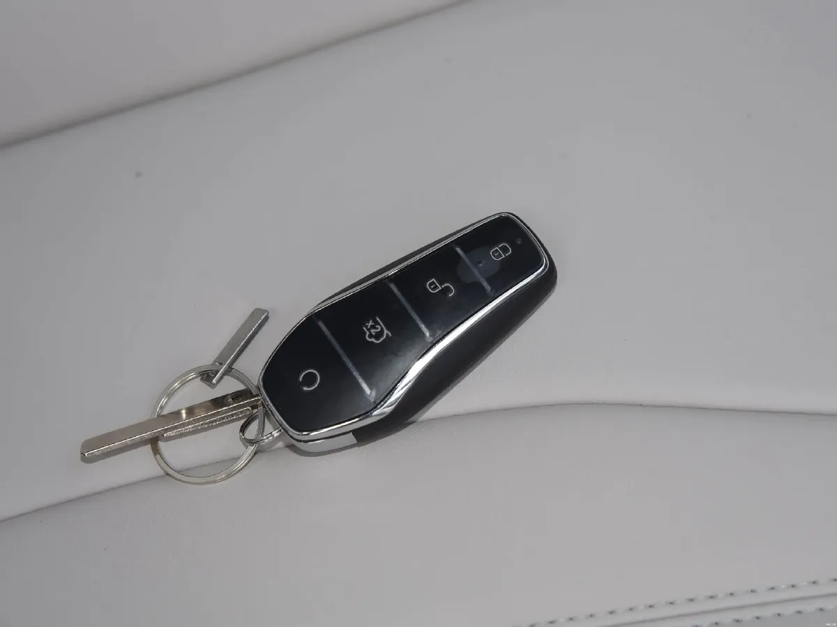 2025 BYD Song Plus 1.5L 101HP L4 E-CVT PHEV 18.3KWH,autocango,china used car exporter,china ev exporter,chinese used car exporter,chinese used ev exporter