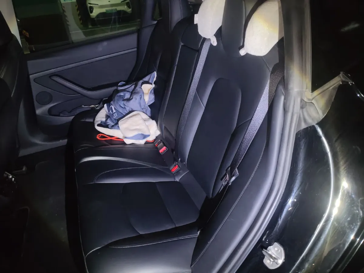 2021 Tesla Model 3 BEV 76.8KWH,autocango,china used car exporter,china ev exporter,chinese used car exporter,chinese used ev exporter