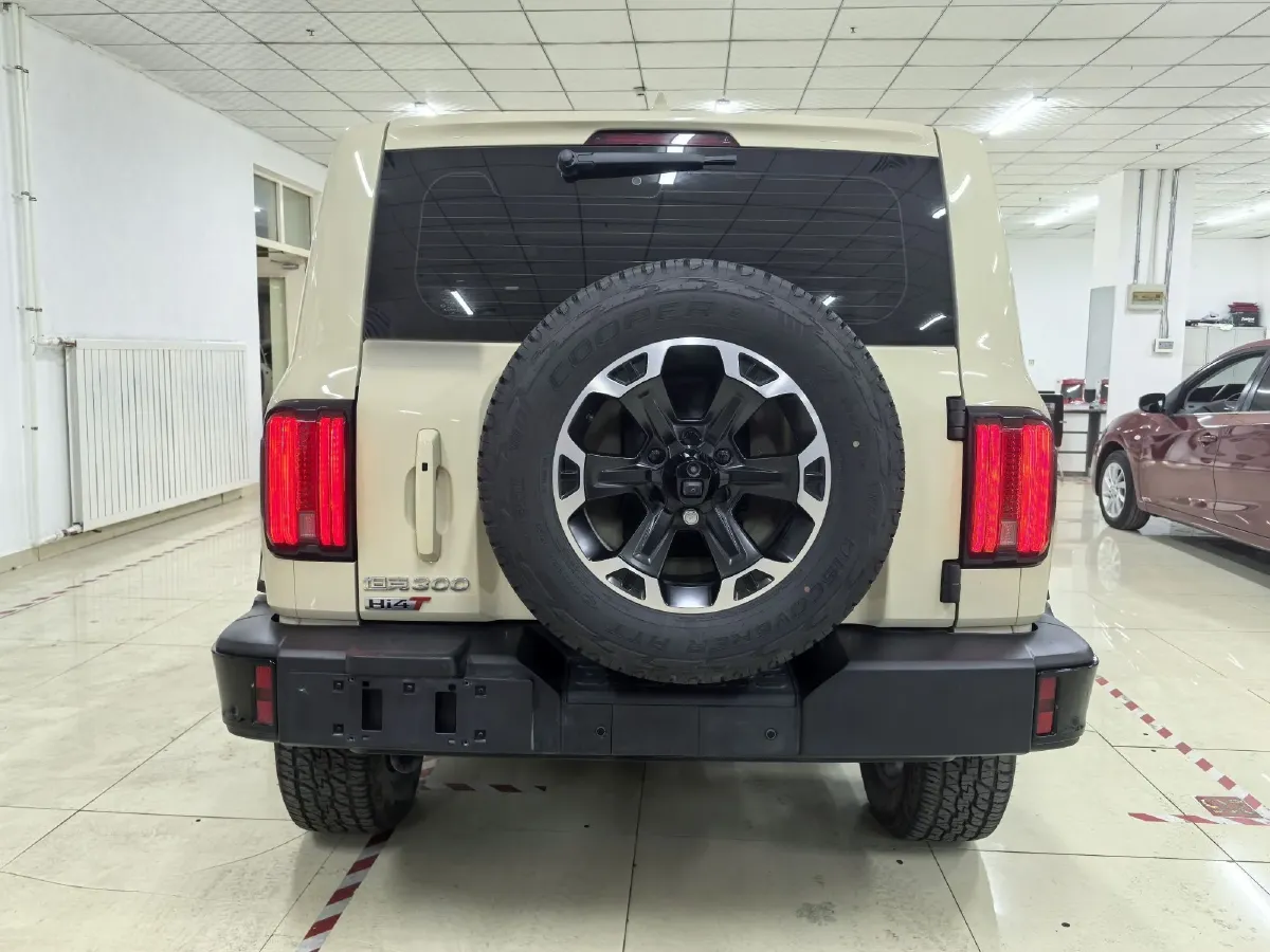 2025 Tank 300 2.0T 252HP L4 9AT PHEV 37.1KWH,autocango,china used car exporter,china ev exporter,chinese used car exporter,chinese used ev exporter