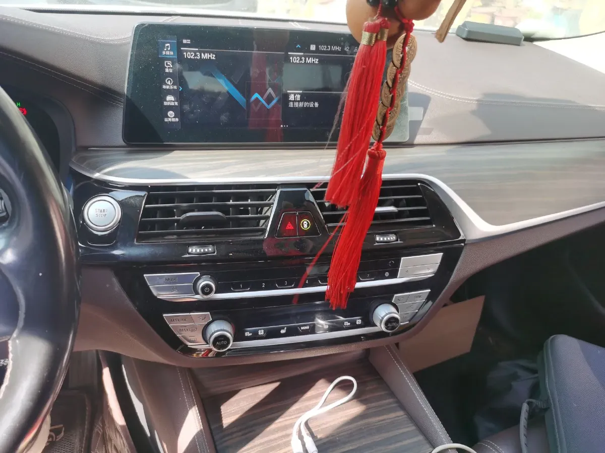 2019 BMW 5 Series 2.0T 184HP L4 8AT PHEV 13KWH,autocango,china used car exporter,china ev exporter,chinese used car exporter,chinese used ev exporter