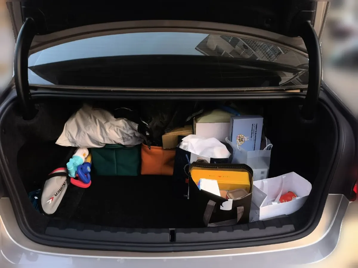 2020 BMW 3 Series 2.0T 184HP L4 8AT,autocango,china used car exporter,china ev exporter,chinese used car exporter,chinese used ev exporter