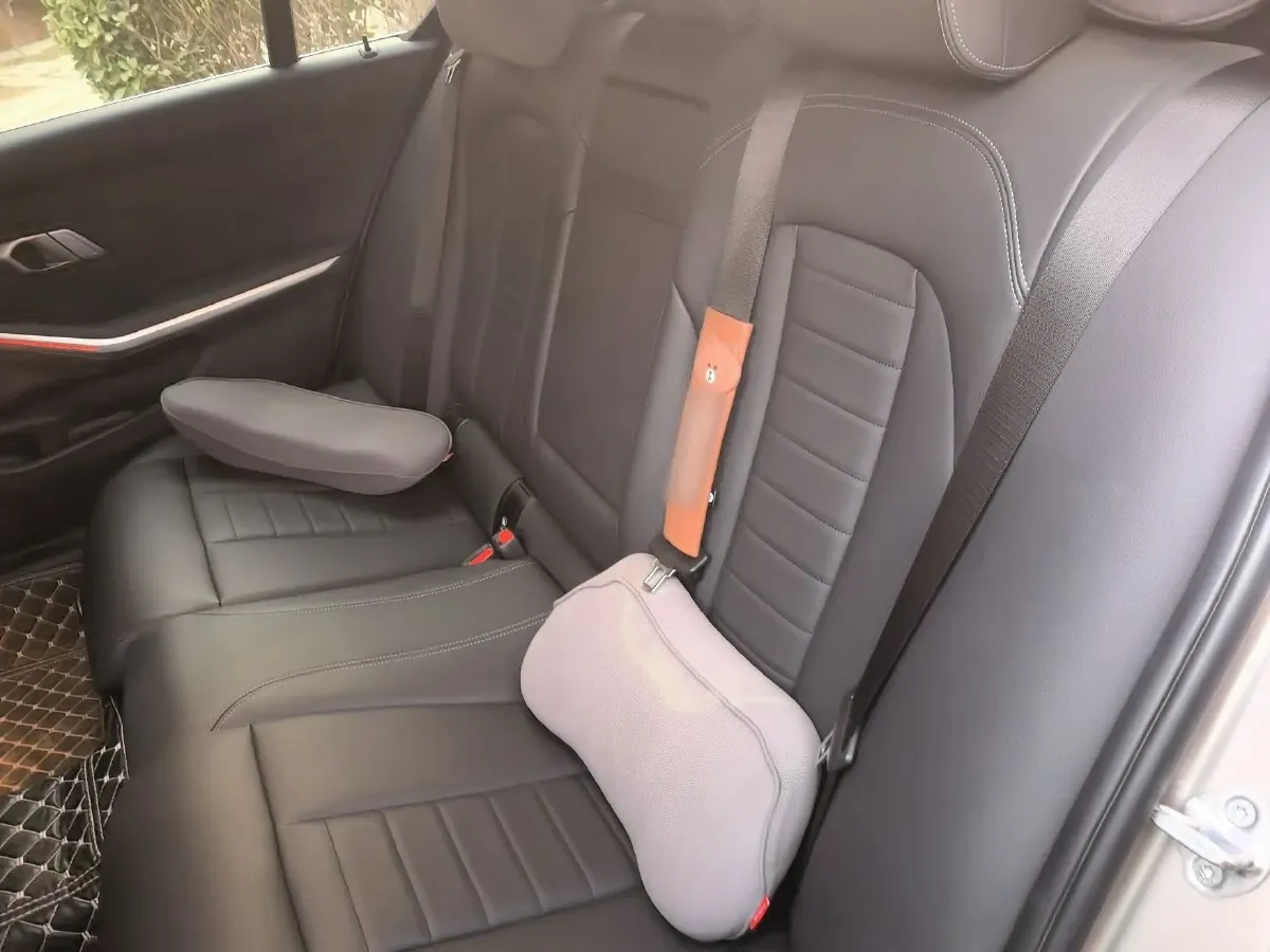 2020 BMW 3 Series 2.0T 184HP L4 8AT,autocango,china used car exporter,china ev exporter,chinese used car exporter,chinese used ev exporter