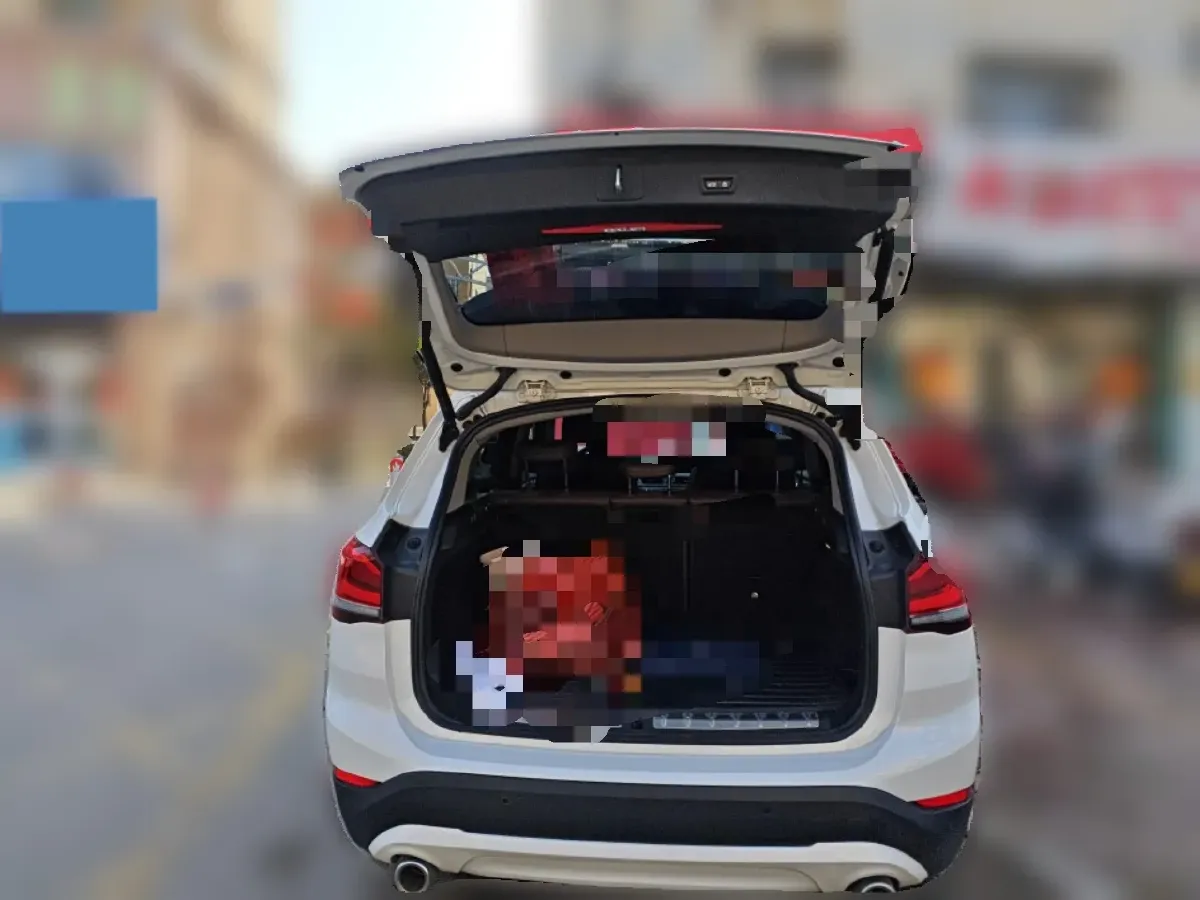 2020 BMW X1 2.0T 192HP L4 8AT,autocango,china used car exporter,china ev exporter,chinese used car exporter,chinese used ev exporter