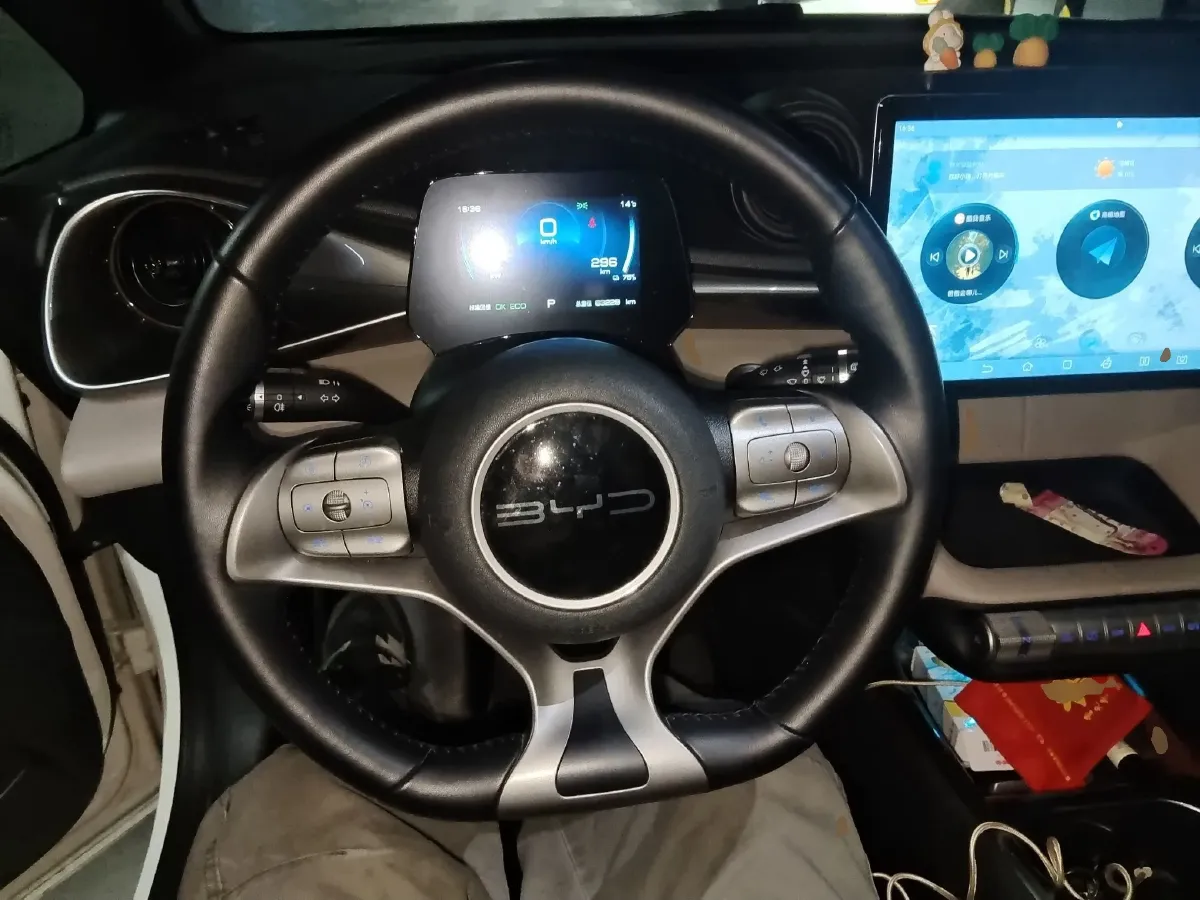 2023 BYD Dolphin BEV 44.928KWH,autocango,china used car exporter,china ev exporter,chinese used car exporter,chinese used ev exporter