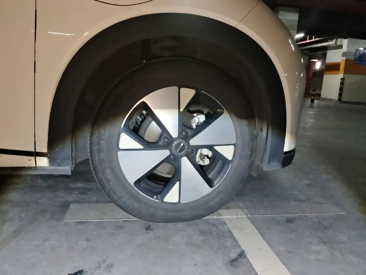 2023 BYD Dolphin BEV 44.928KWH,autocango,china used car exporter,china ev exporter,chinese used car exporter,chinese used ev exporter