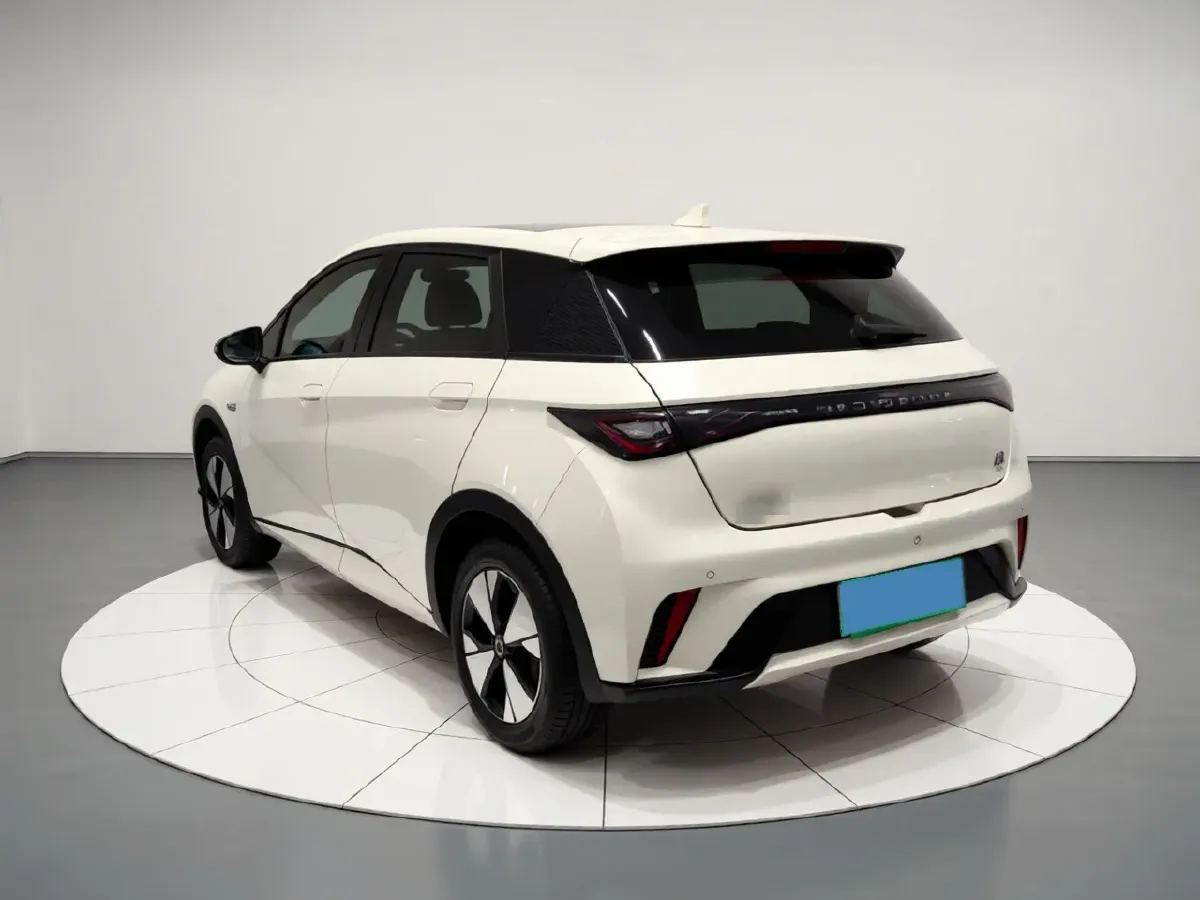 2023 BYD Dolphin BEV 44.928KWH,autocango,china used car exporter,china ev exporter,chinese used car exporter,chinese used ev exporter