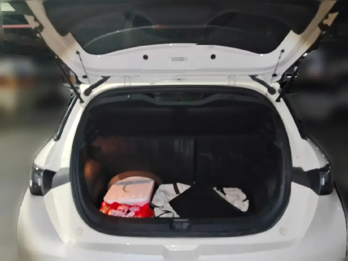 2023 BYD Dolphin BEV 44.928KWH,autocango,china used car exporter,china ev exporter,chinese used car exporter,chinese used ev exporter