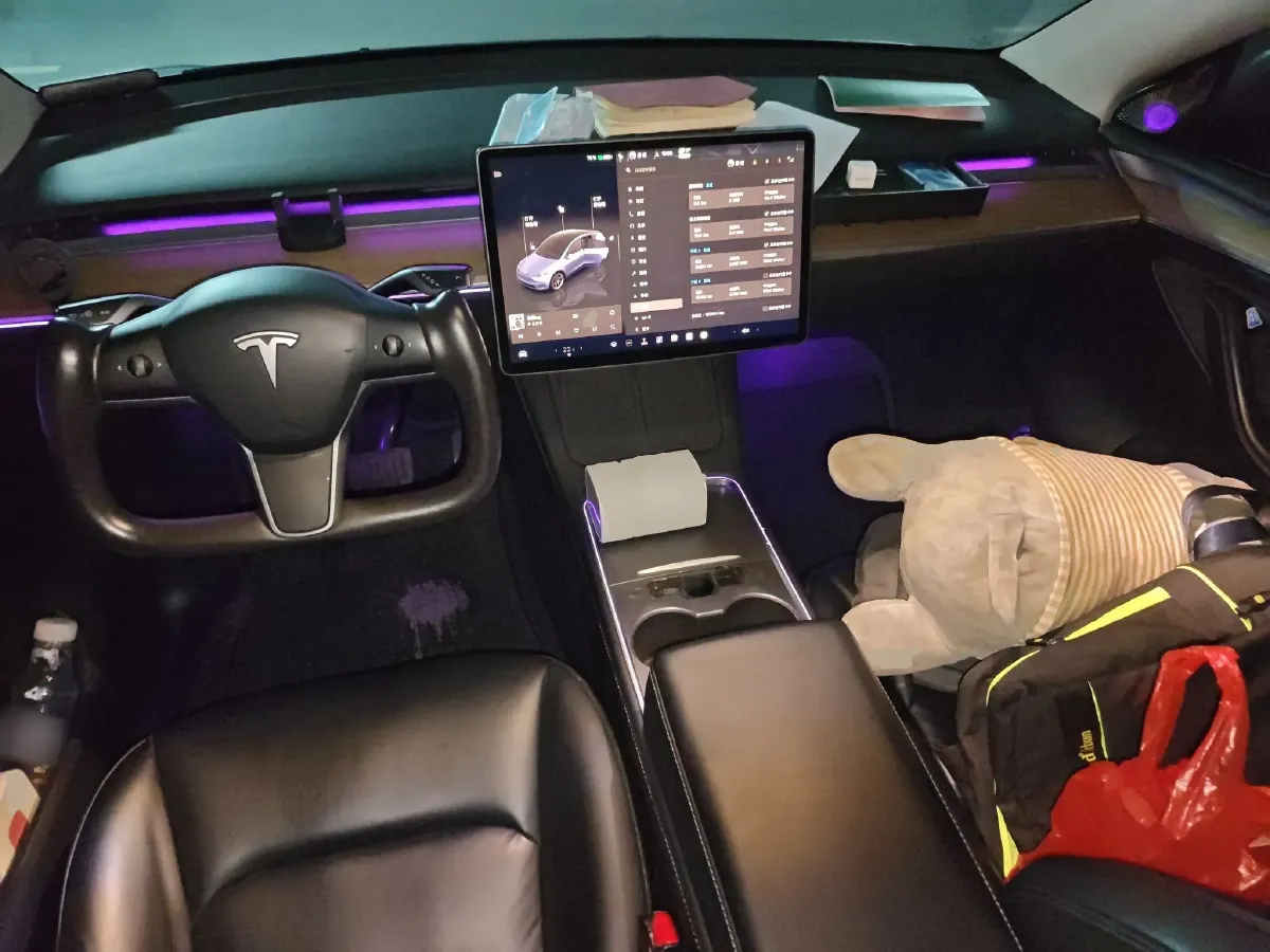 2022 Tesla Model Y BEV 60KWH,autocango,china used car exporter,china ev exporter,chinese used car exporter,chinese used ev exporter