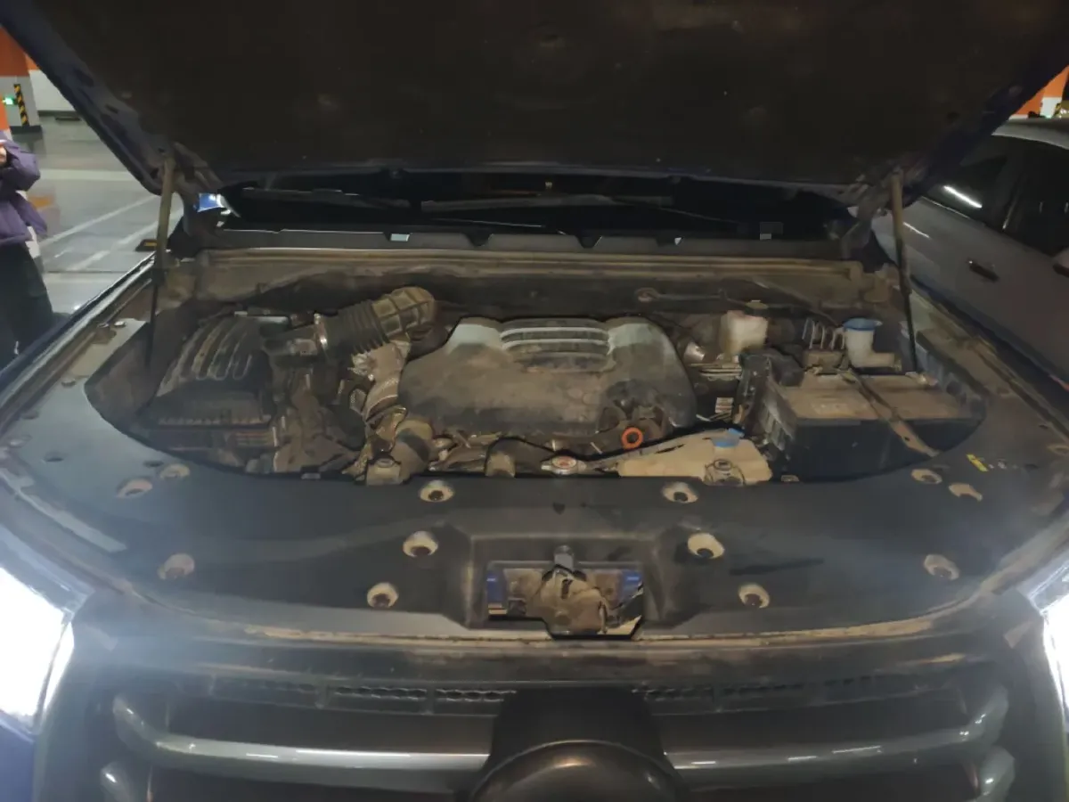 2021 Great Wall Poer 2.0T 163HP L4 8AT,autocango,china used car exporter,china ev exporter,chinese used car exporter,chinese used ev exporter