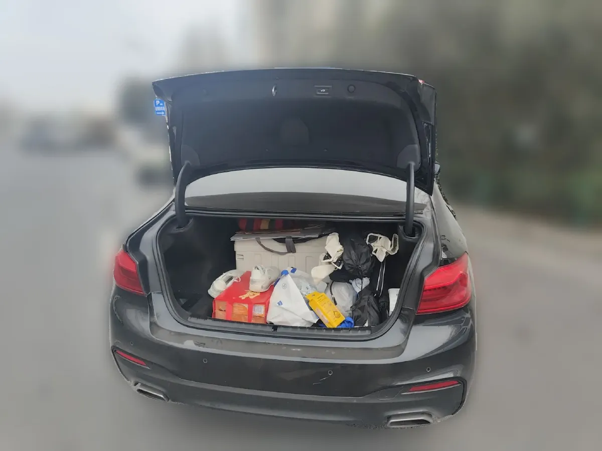 2019 BMW 5 Series 2.0T 184HP L4 8AT,autocango,china used car exporter,china ev exporter,chinese used car exporter,chinese used ev exporter