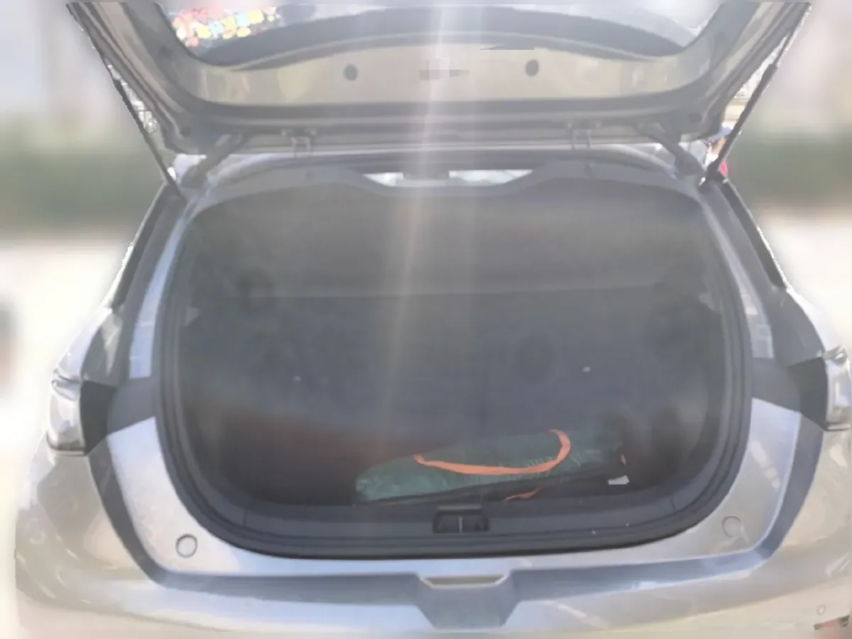 2023 BYD Dolphin BEV 44.928KWH,autocango,china used car exporter,china ev exporter,chinese used car exporter,chinese used ev exporter