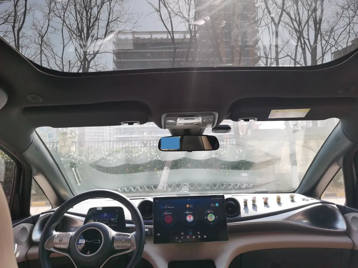 2023 BYD Dolphin BEV 44.928KWH,autocango,china used car exporter,china ev exporter,chinese used car exporter,chinese used ev exporter